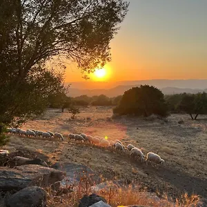 Hébergement de vacances Su Saucu, Dorgali